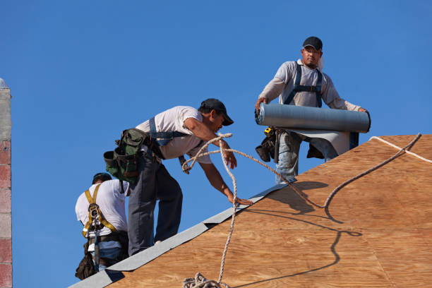 Best Roof Repair Services  in Rhinelander, WI