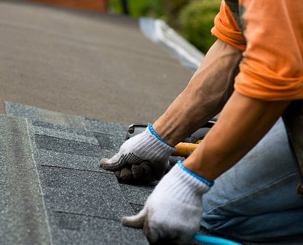 Best Roof Gutter Cleaning  in Rhinelander, WI